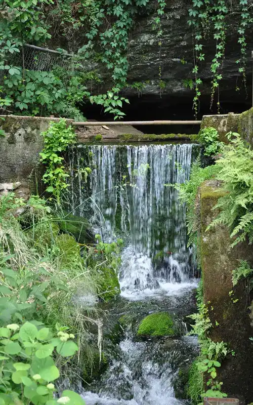 Dynamax in Cave Spring