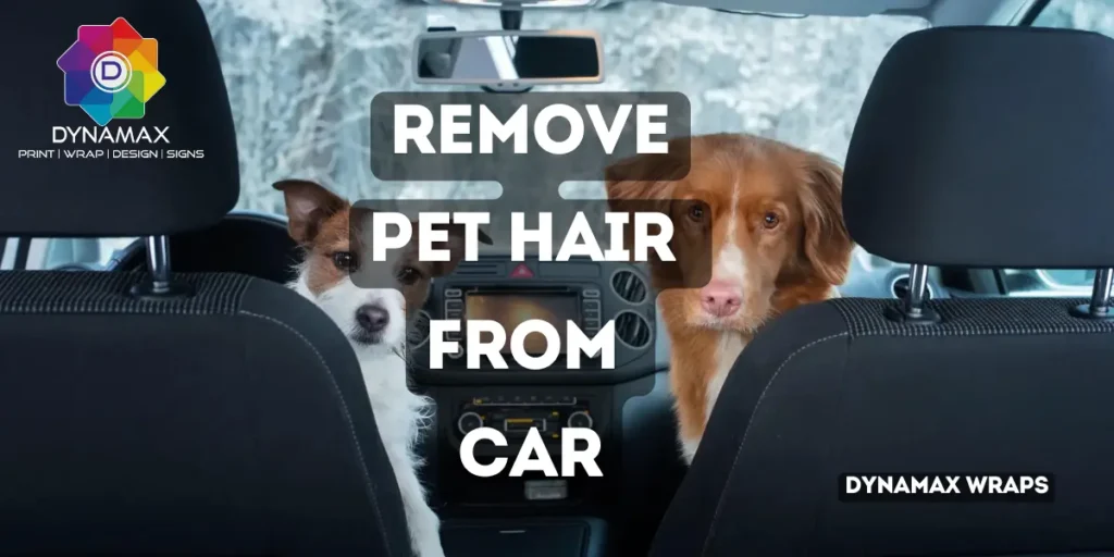 How to remove pet hair from car