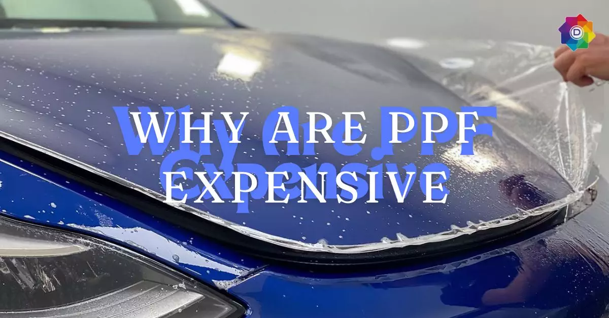 Car PPF Wrapping | Dynamax Wraps | Paint Protection Film services